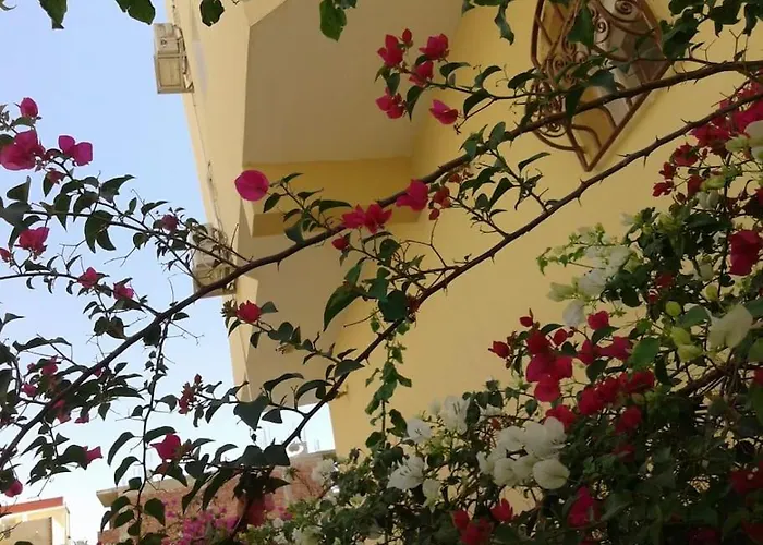 Desert Rose * Hurgada